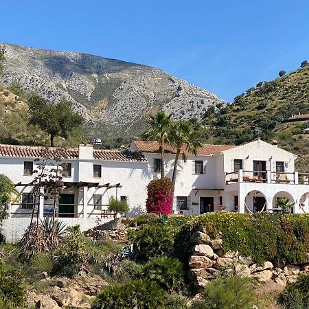Cortijo Las Palmeras El Chorro Alora Exterior foto